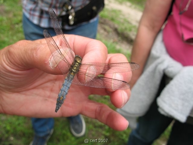 2007 05 Séjour en Brenne 084